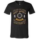Hay Naku University Unisex Jersey V-Neck T-Shirt